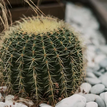 Apartment Mailo&luke Rhodes City