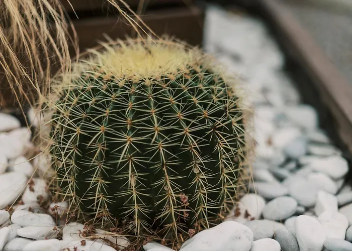 Apartment Mailo&luke Rhodes City